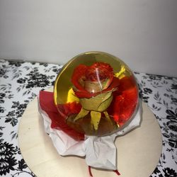 Red White Ombré Rose Globe 