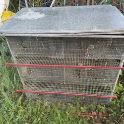 Quail Cage 