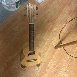 Eddie Fin Ukelele