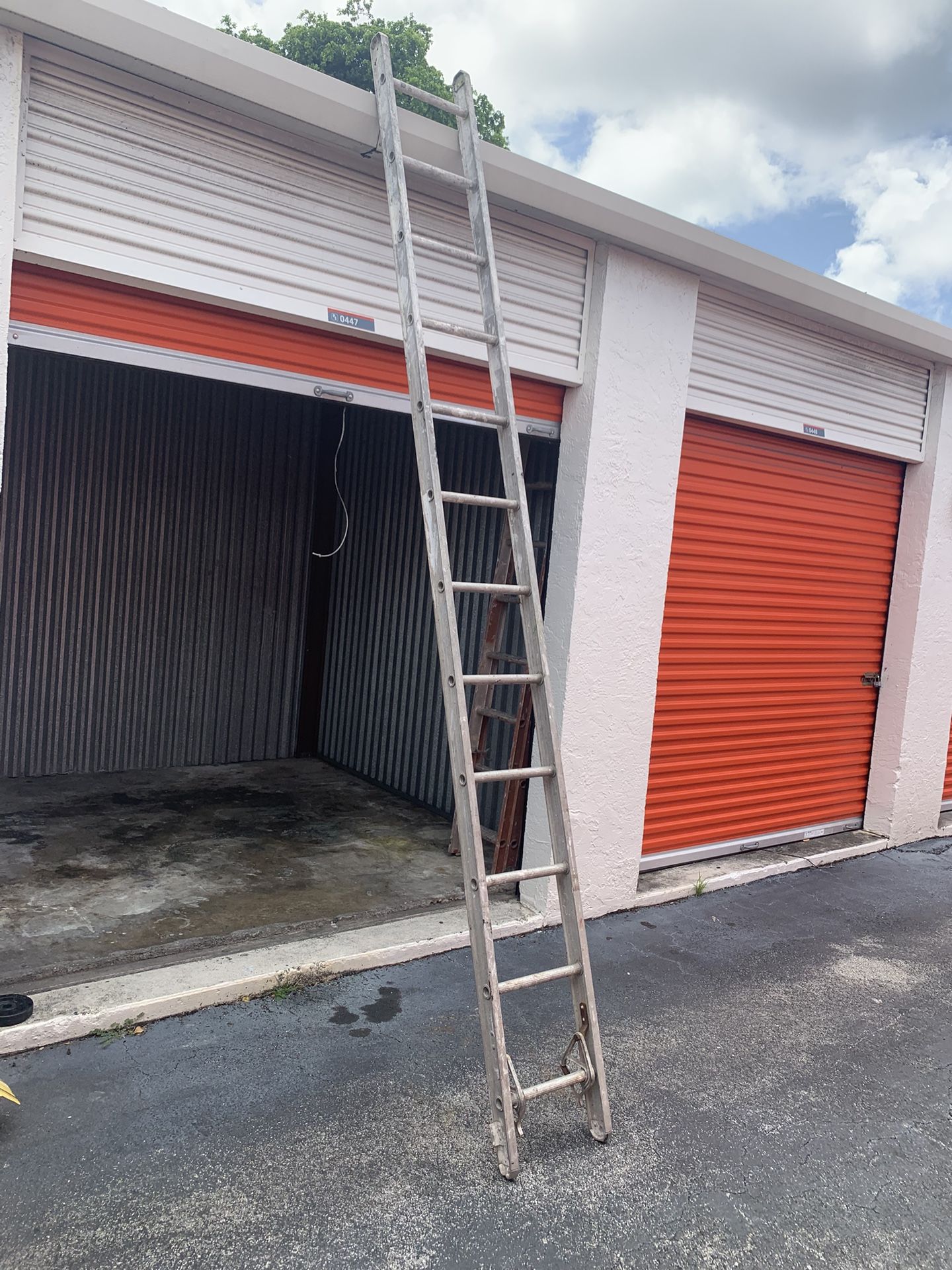 Ladder 12 Ft