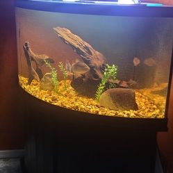 92 Gallon Corner Fish Tank Drilled With Wet/Dry Filter