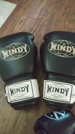 Muay Thai Gloves Twins, Fairtex, Windy