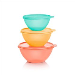 Classic Wonderlier | 3 piece