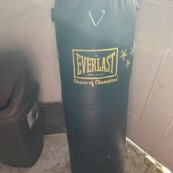 Everest Punching Bag