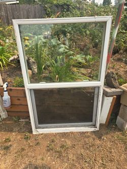 Window