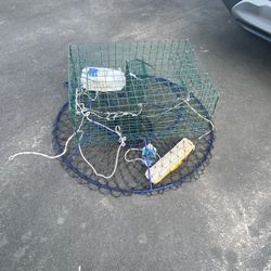 Crab Cage