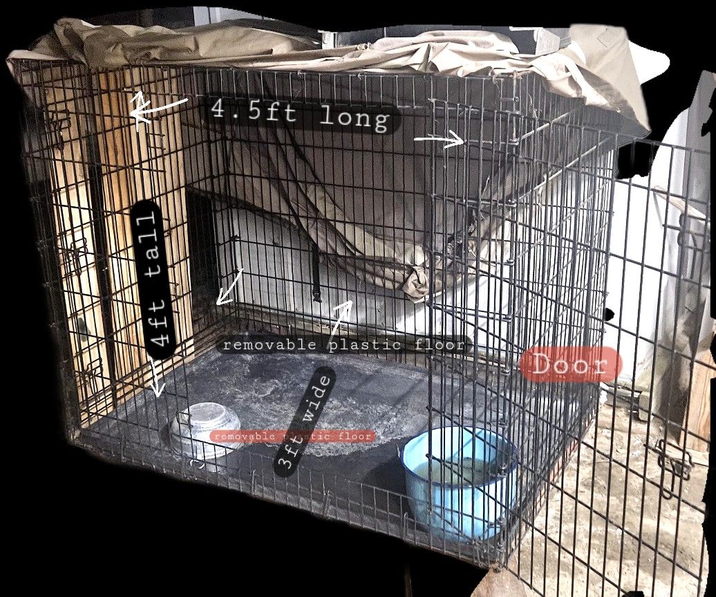 Large Kennel 4'x4.5'x3.5' Plastic Bottom For Easy Cleaning.