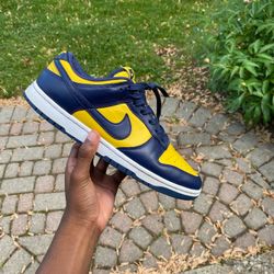 Michigan Dunks 