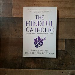 The Mindful Catholic 