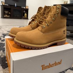 Timberland 6 Inch Premium (Brand New)