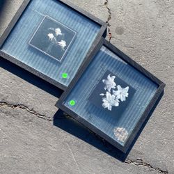 Glass pictures Of flowers 