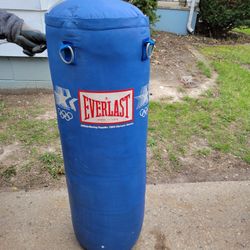 80LBS  EVERLAST  PUNCHING   BAG