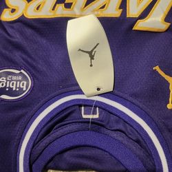 LeBron James Los Angeles Lakers Basketball Jersey/XL 