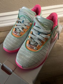 Lebron XX $150 OBO