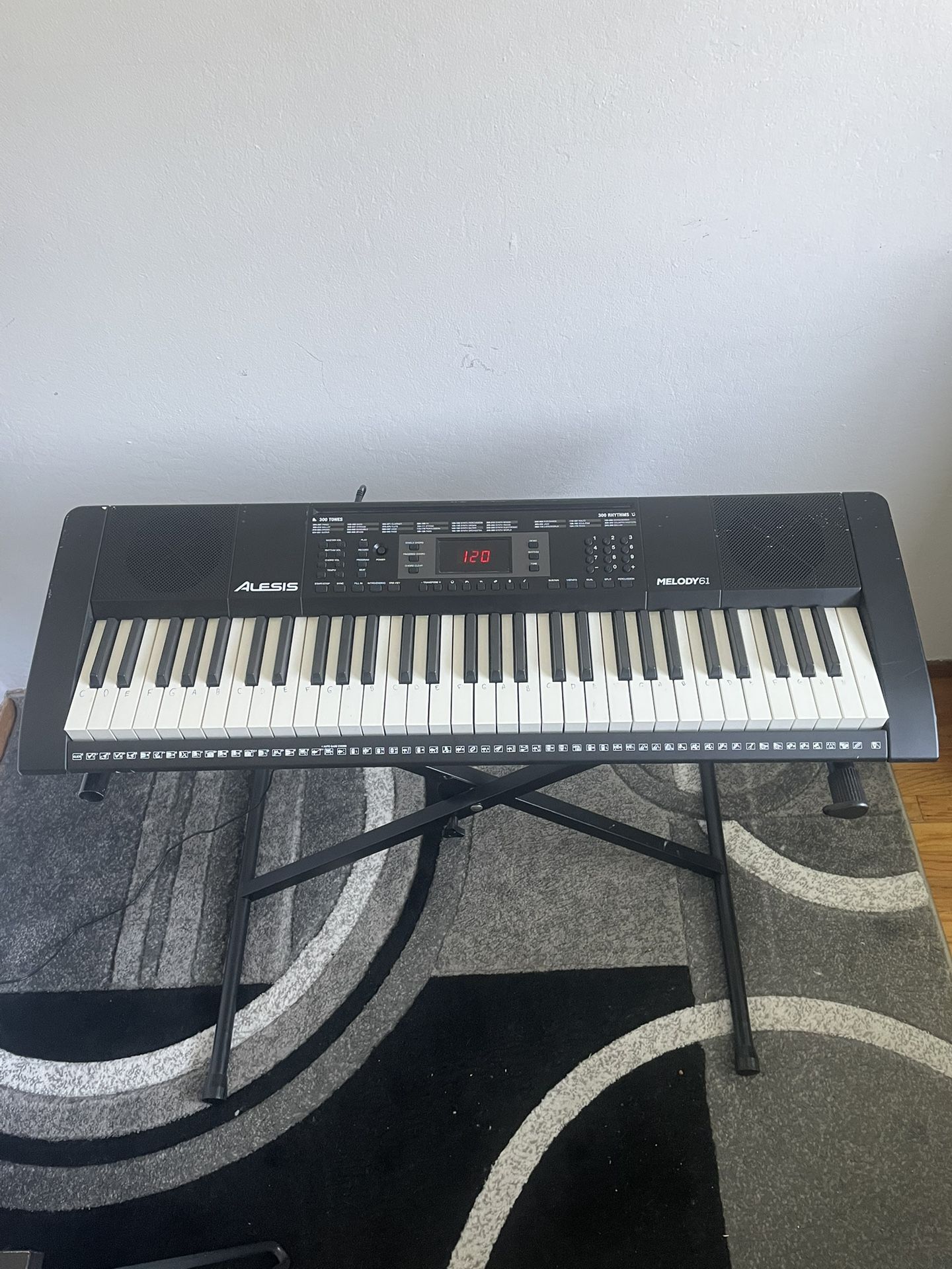 Alesis Melody 61 Piano Keyboard