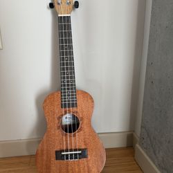 [Heavily Discounted] 23 Inch Concert Ukulele With Capo And 3 Picks