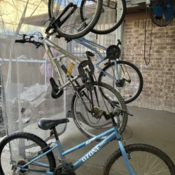 Vicicletas  $50  Cada Una