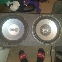 Two 12-in Speakers In Ported Box
