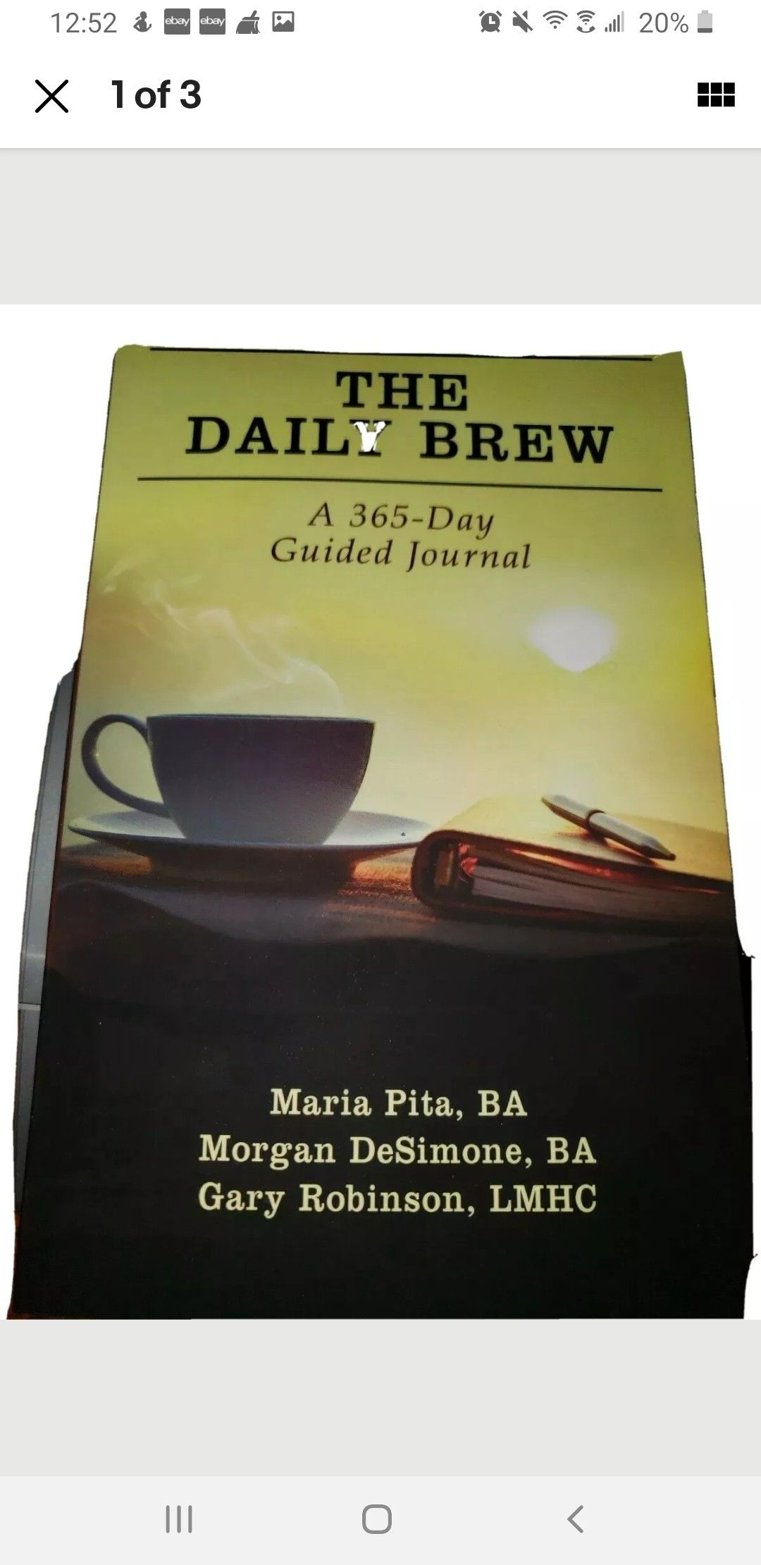 NEW The Daily Brew A 365-Day Giuded Journal