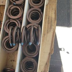 Double Valve Springs 