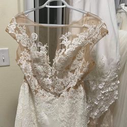Wedding Dress and Veil 