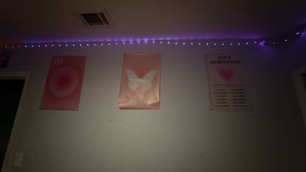 3 Pink Wall Art