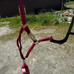 Halter