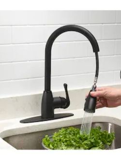 Project Source Tucker Matte black Single Handle Deck-mount Pull-down Kitchen Faucet with Sprayer (Includes Deck Plate)