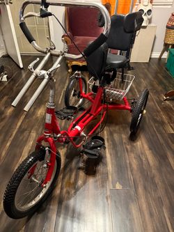Amtryke tricycle