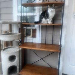 Shelf