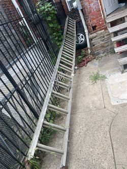 Ladder 40 foot