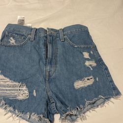 Levi Shorts 