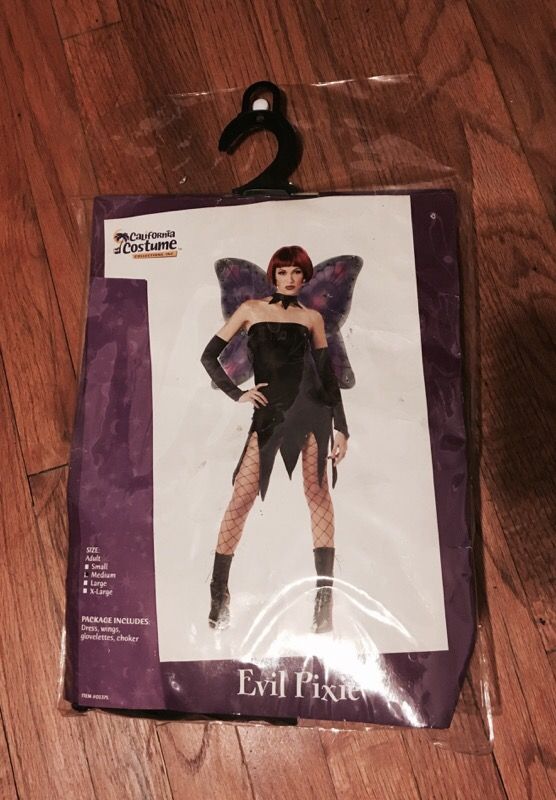 Evil Pixie/Fairy/Witch Costume