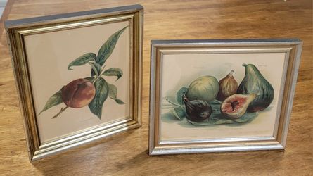 Vintage Boho Botanical Antique Fig & Nectarines Illustration Wall Gallery Set