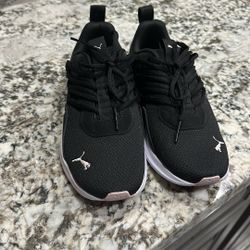 Pumas 