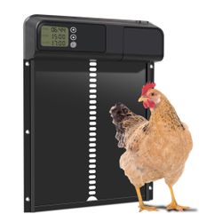 Chicken Coop Door 