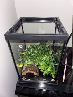 Glass tank for reptile