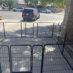Dog Kennel Exercise Area