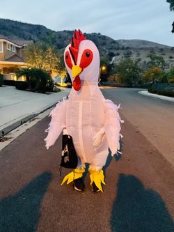 Child Chicken Costume