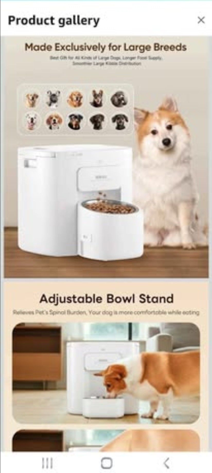 Brand New Large Capacity Automatic Dog Feeder