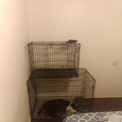 Dog Cage