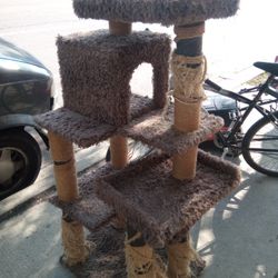 Cat Tower