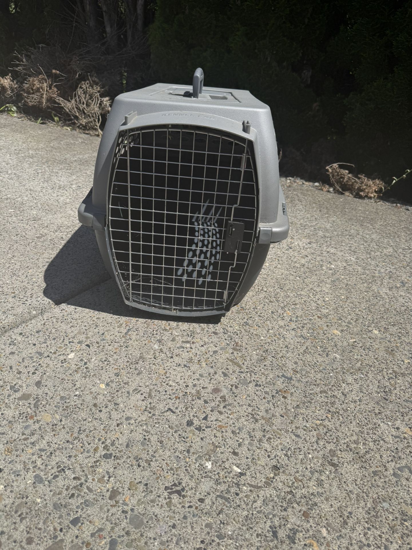 Free Dog/cat Kennel