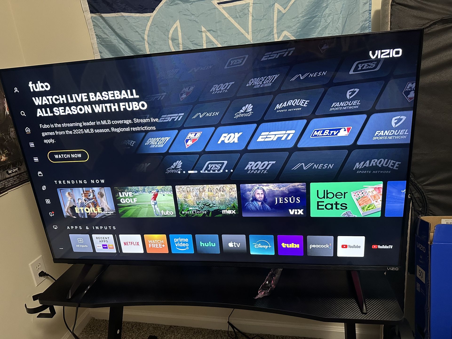 Vizio 50 Inch Tv