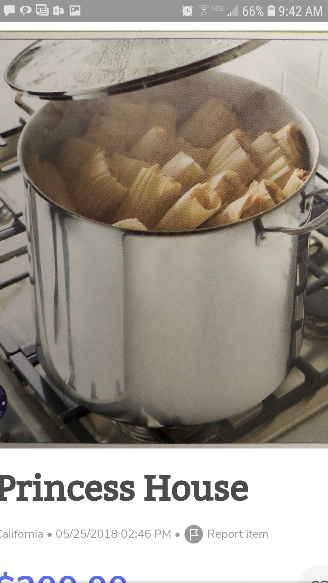 Princess House 30-Qt Stainless Steel Stockpot