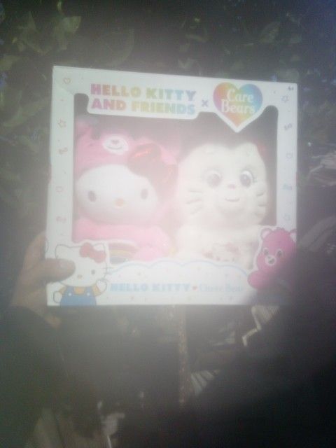 Hello Kitty & Care Bears