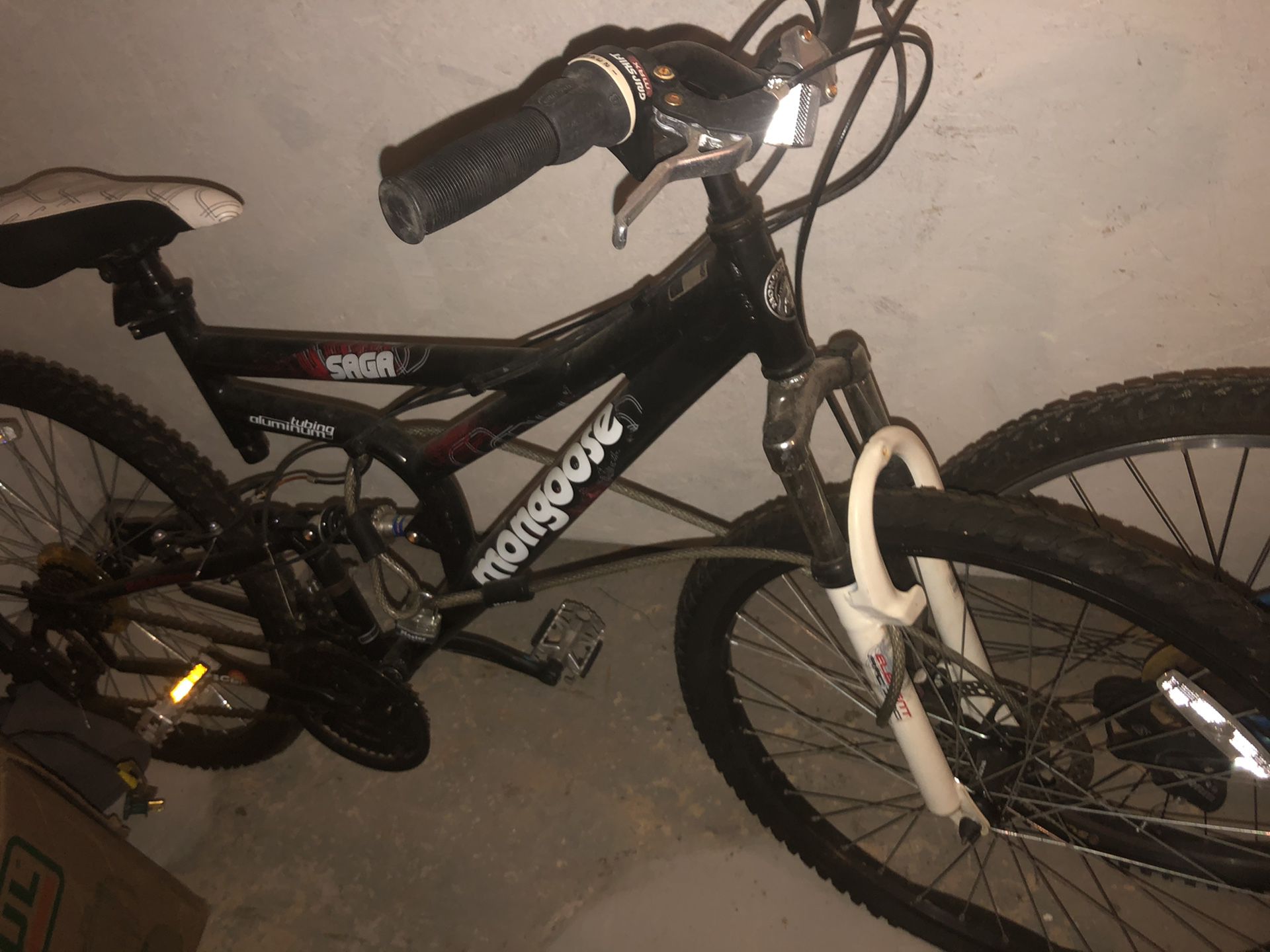 mongoose bike and schwinn bike
