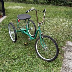 Adult Tricycle