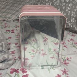 Beauty/Skincare Mini Fridge