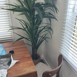 Fake Plant